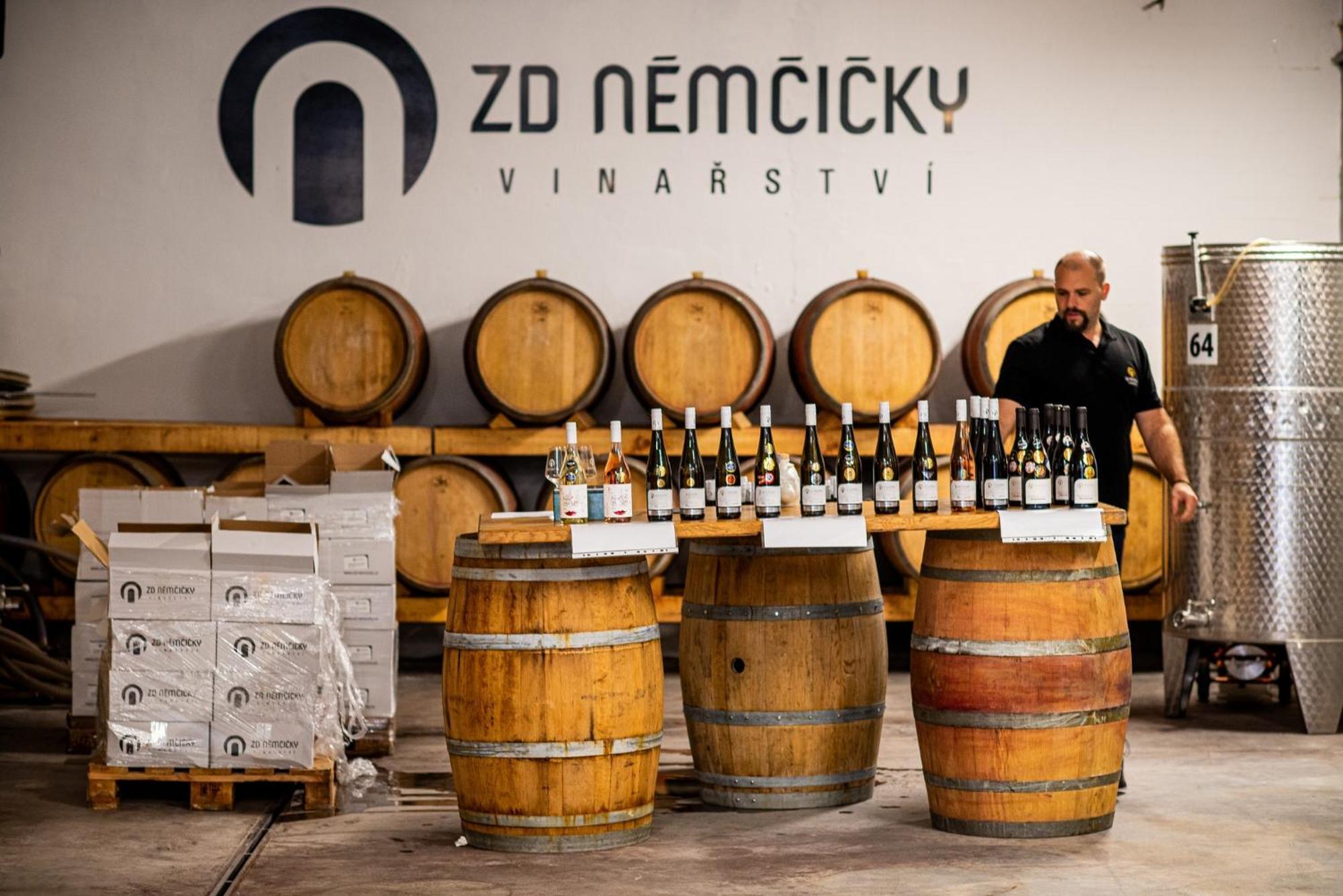 Ubytovani Ve Vinarstvi Zd Nemcicky Luaran gambar